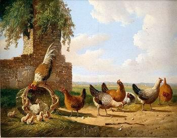unknow artist Cocks 059 Germany oil painting art